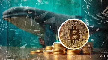 Накопичення біткоїн-валютних китів досягло найвищого рівня з квітня 2024 року