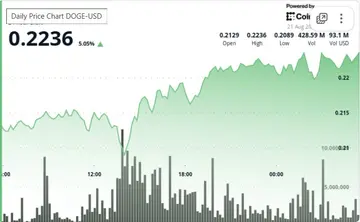 Накопление китов способствует V-образному восстановлению Dogecoin с уровней $0.21