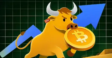 Наступний бичачий ринок криптовалют буде повільнішим — пояснює CEO BitGo
