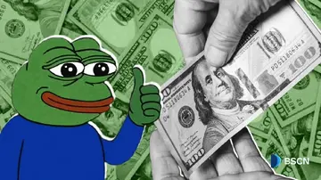 Немає дорожньої карти, немає корисності, немає проблеми: як Pepe (PEPE) отримує цінність без продукту?