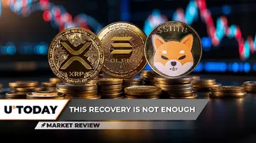 Несподіване зростання XRP до $3 можливе, Solana (SOL) таємно в бичачому ринку, обсяг Shiba Inu (SHIB) абсолютно тане