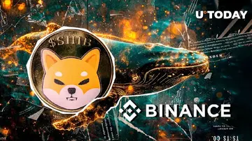 Ніколи раніше не бачений кит вивільняє мільярди Shiba Inu (SHIB) на Binance