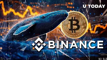 Новый кит вывел из Binance 50 миллионов долларов в биткойнах