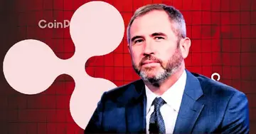 Новини XRP: Бред Гарлінгхаус з Ripple розкриває свою роль в спільноті XRP