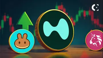 Обсяги DEX досягли рекордних висот у січні незважаючи на розпродаж криптовалют