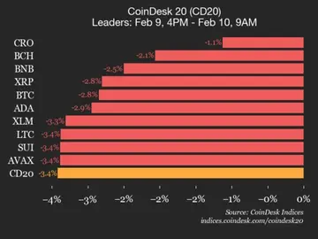 Оновлення продуктивності CoinDesk 20: індекс впав на 3,4%, всі складники торгуються нижче