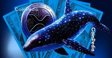Опубліковано список багатіїв XRP: чи виключені роздрібні інвестори?