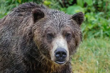 Ось чому біткоїн знизився від 200-денної середньої