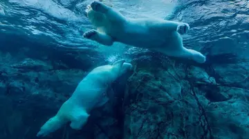 Ось що кажуть ветерани індустрії, коли біткоїн падає нижче 70 000 доларів