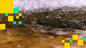 Падіння біткоїну та акцій штучного інтелекту знищило понад 500 мільйонів доларів оптимістичних ставок