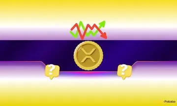 Перед тим як купити XRP на просадці, зверніть увагу на цей ключовий сигнал (аналітик)