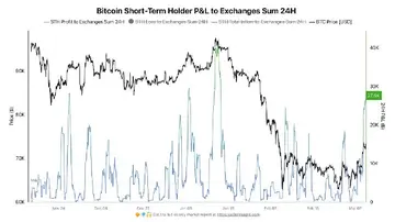 Покупці біткоїнів швидко виходять з гри після короткочасного стрибка до $74,000