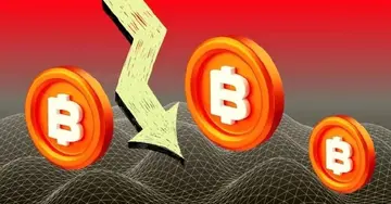 Попередження про крах Біткоїна стає вірусним після того, як пост X позначає цикл Беннера