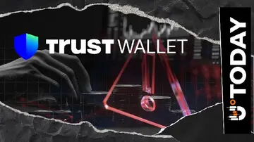 Потерпілий від хакерської атаки на Trust Wallet? Ось ваш посібник щодо компенсації