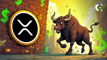Потоки обміну XRP свідчать про триваючу боротьбу за домінування між бичками та ведмедями
