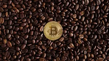 Поворот Vanadi Coffee на біткоїн затьмарений надмірними гонорарами ради директорів та повстанням акціонерів