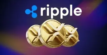 Прийняття криптовалюти в Африці стрімко зростає, оскільки керівник Ripple підкреслює збільшення на $205 мільярдів у блокчейні.