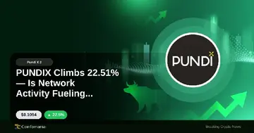 PUNDIX зростає на 22,51% — чи сприяє діяльність мережі зростанню?