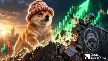 Ралі dogwifhat на 22% стикається з тиском продажів – Чи зможе WIF захистити рівень $0.23?