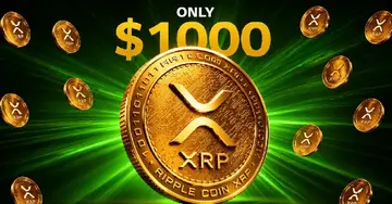 Реалістична ціль ціни XRP $1000, пояснена Black Swan Capitalist без галасу
