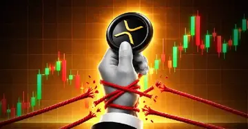 Рейтинг багатства XRP за жовтень показує обсяги XRP у провідних гаманцях