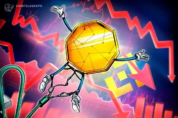 Резерви стейблкоїнів Binance зменшилися на 19% з листопада