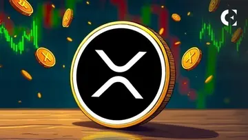 Ripple готує XRP до наступного булл-циклу — генеральний директор Canary Capital