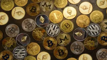 Сезон альткоїнів завантажується: Бикові фактори, що вказують на величезний стрибок