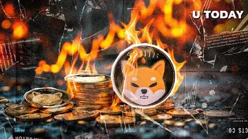 Сжигание SHIB увеличилось на 11 899% на фоне большого роста крипторынка