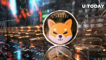 Shiba Inu наблюдает падение ончейн-активности на 74% — что происходит?