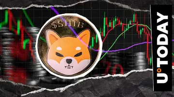 Shiba Inu на грани удаления нуля, произойдет ли это?