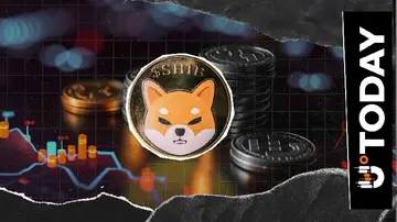 Shiba Inu (SHIB): -96,000,000,000 у валютних потоках зупиняє тиску на продаж