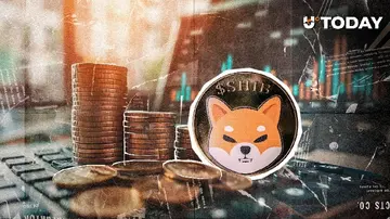 Shiba Inu (SHIB) майже не показує змін: Чи зупинилася мережа?