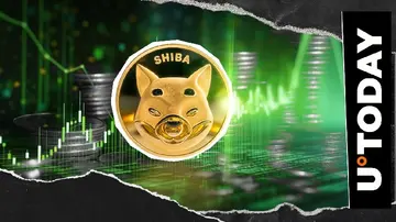 Shiba Inu (SHIB) виріс на 988% всього за 24 години: Це є вирішальним