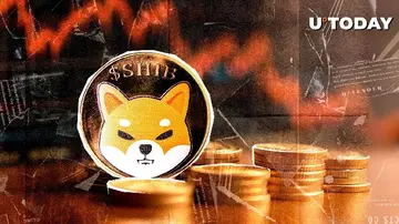 Shiba Inu (SHIB) втратив 358% у ключовому показнику, але як це сталося?