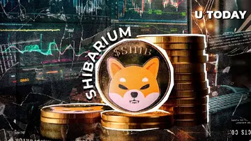 Shibarium к агентам-обманщикам: beware грядущего подавления