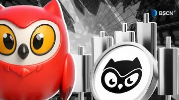 Що таке токен BIRB Moonbirds?