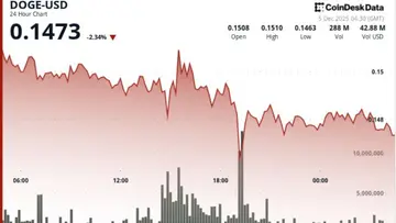 Шум навколо ETF DOGE стикається з ведмежою реальністю, оскільки Dogecoin фіксує нові нижчі ціни
