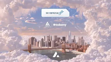 SkyBridge Capital объединяется с Tokeny для токенизации 300 млн долларов в хедж-фондах на Avalanche