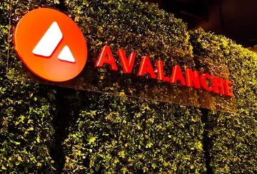 Sky's Grove розширюється до Avalanche з планом RWA на 250 мільйонів доларів, партнерство з Centrifuge та Janus