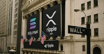 Solana висміює прихильника XRP після порівнянь, викликаних промоцією Ripple Swell
