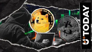 Співпрацівник Dogecoin виклав кроки для реального зростання екосистеми DOGE