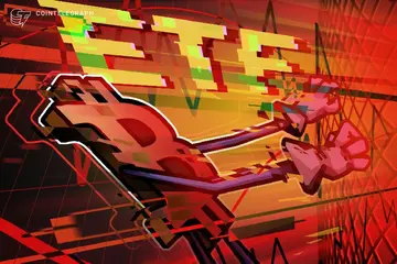Спотові біткоїн ETF зазнали рекордного 10-денного відпливу, аналітик називає це «контріндикатором»