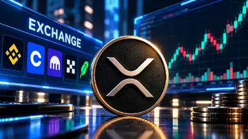 Створено 3 647 нових гаманців XRP, оскільки ціна перевищила 1,64 долари