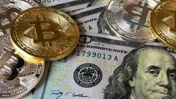 Створювач Біткоїна якимось чином став «бідним», втративши 41 мільярд доларів, не промовивши ані слова