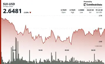 SUI відновлюється від ключової підтримки, оскільки компанія Lion Group, що торгується на Nasdaq, планує купівлю держоблігацій
