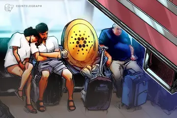 TapTools Cardano закривається після виходу 5 керівників