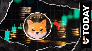 Темп спалення Shiba Inu стрибає на 3230% в умовах зростання ціни