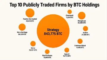Топ-10 публічно торгованих компаній за володінням BTC виявляють мільйонну блокаду біткоїнів