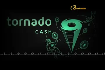 Tornado Cash: Непохитна позиція Романа Шторму проти забруднених коштів криптохакера